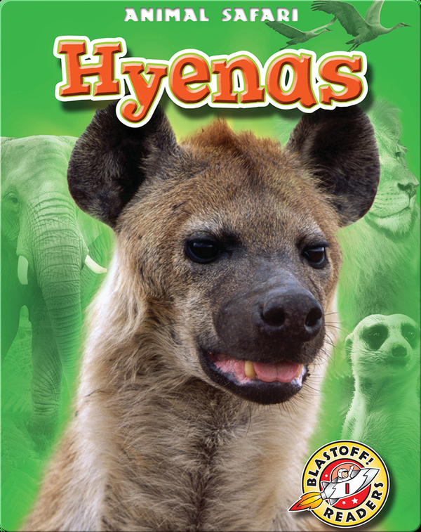 Hyenas: Animal Safari