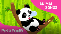 Ni Hao Panda (Animal Songs)