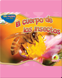 El Cuerpo De Los Insectos (Insect's Body)