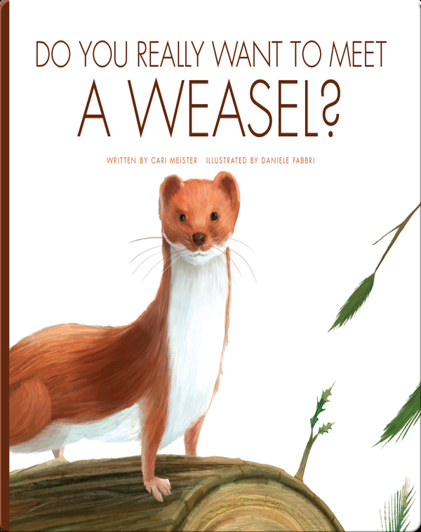 Do You Really Want To Meet A Weasel