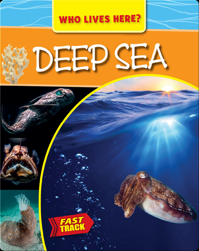 Deep Sea Book by Mary-Jane Wilkins | Epic