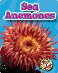 Sea Anemones: Oceans Alive