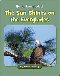 Hello, Everglades!: The Sun Shines on the Everglades
