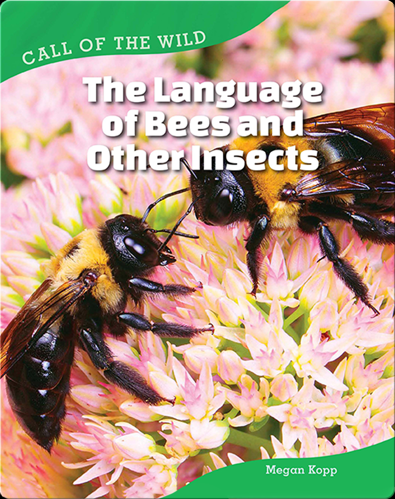 the-language-of-bees-and-other-insects-book-by-megan-kopp-epic