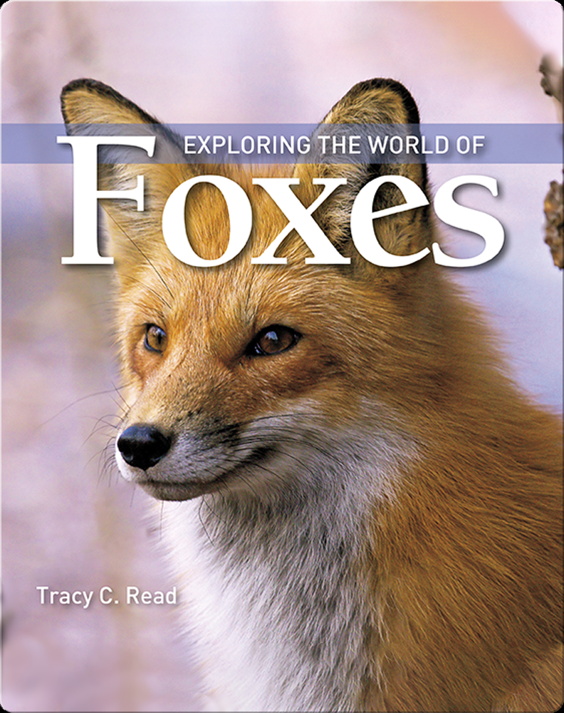 Exploring the World of Foxes Children's Book by Tracy C. Read Discover Children's Books