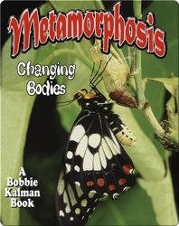 Metamorphosis: Changing Bodies