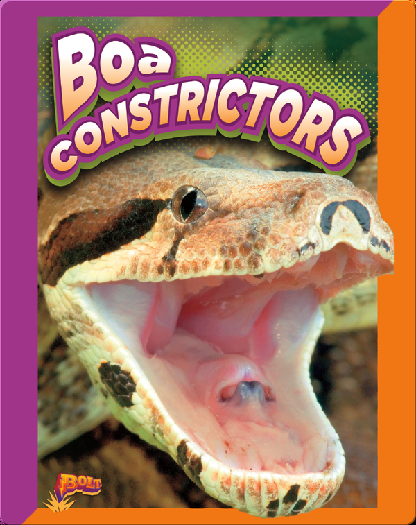 Slithering Snakes: Boa Constrictors