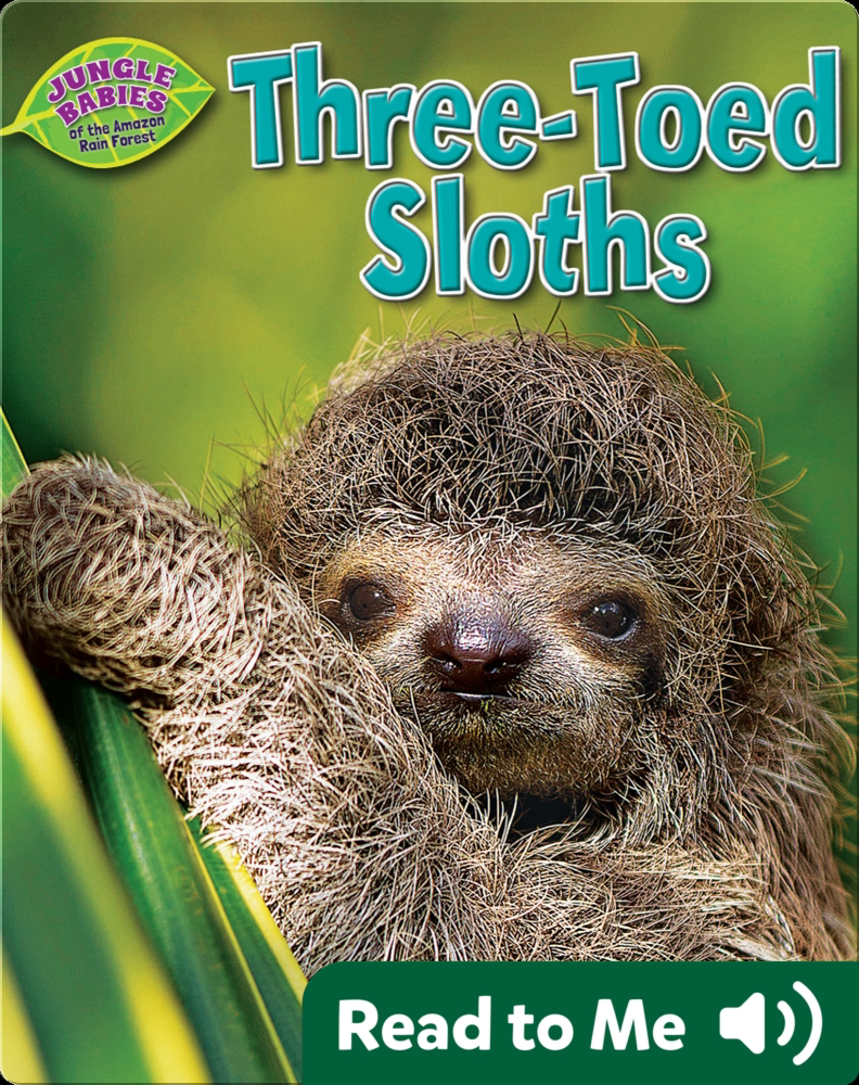 Three-Toed Sloths Book by Rachel Lynette | Epic