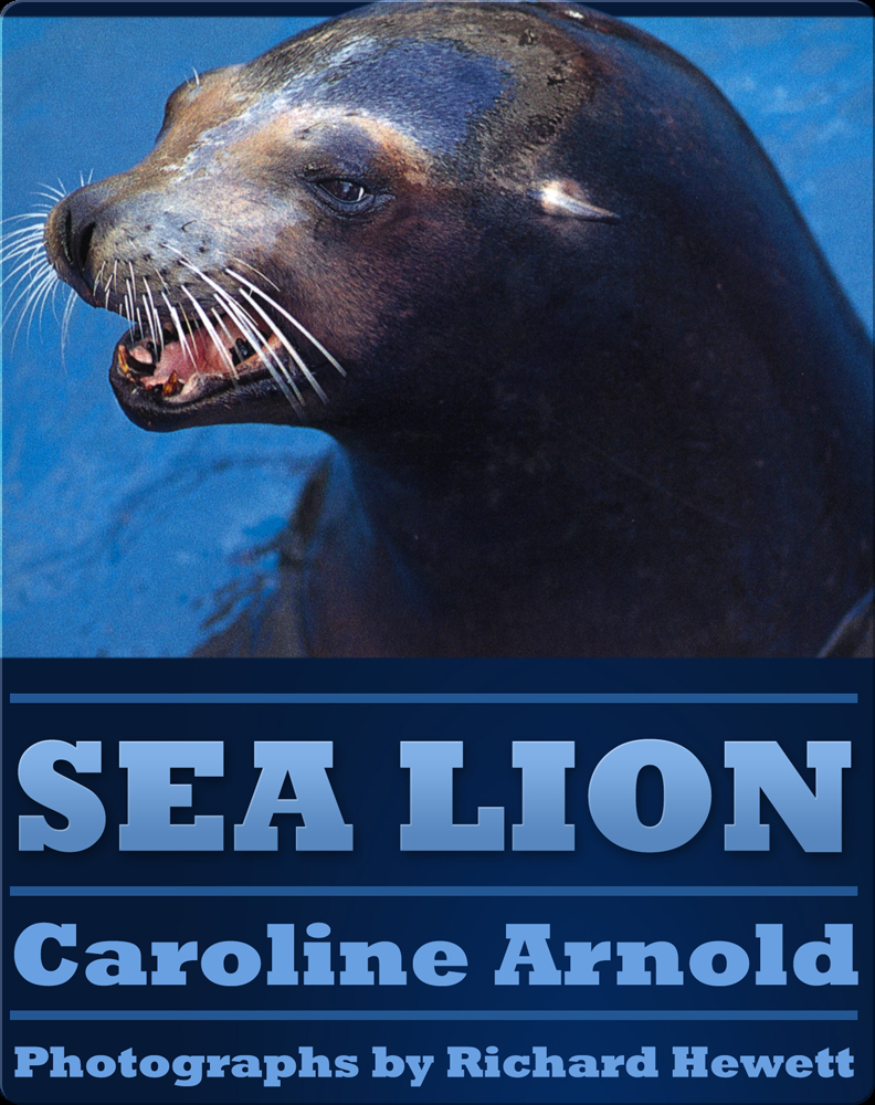 Sea Lion Book by Caroline Arnold | Epic