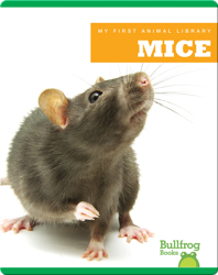 My First Animal Library: Mice