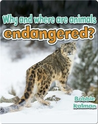 Why and where are animals endangered?
