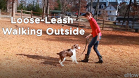 Loose-Leash Walking Outside | Teacher's Pet With Victoria Stilwell