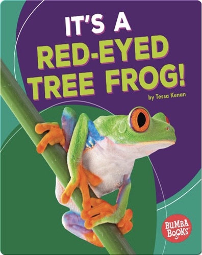 It's a Red-Eyed Tree Frog!