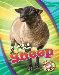 Animals on the Farm: Sheep