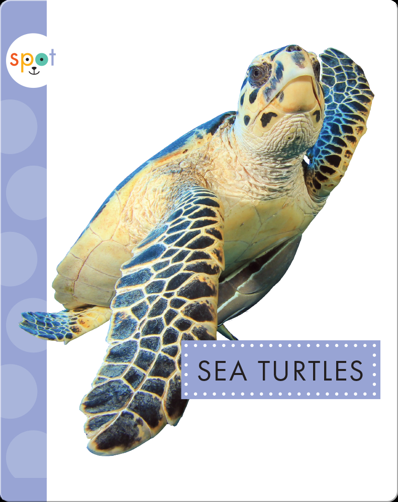 Sea Turtles Book by Mari Schuh Epic