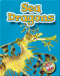 Sea Dragons: Oceans Alive