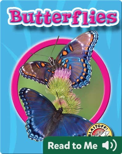 World of Insects: Butterflies