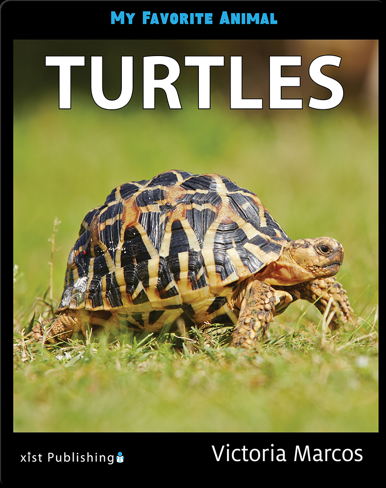 My Favorite Animal: Turtles Book by Victoria Marcos | Epic