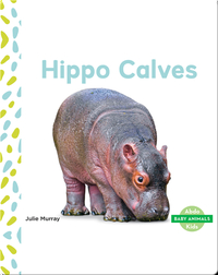 Baby Animals: Hippo Calves