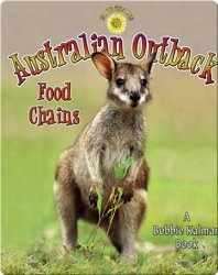 Australian Outback: Food Chains