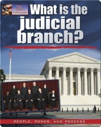 What is the Judicial Branch?