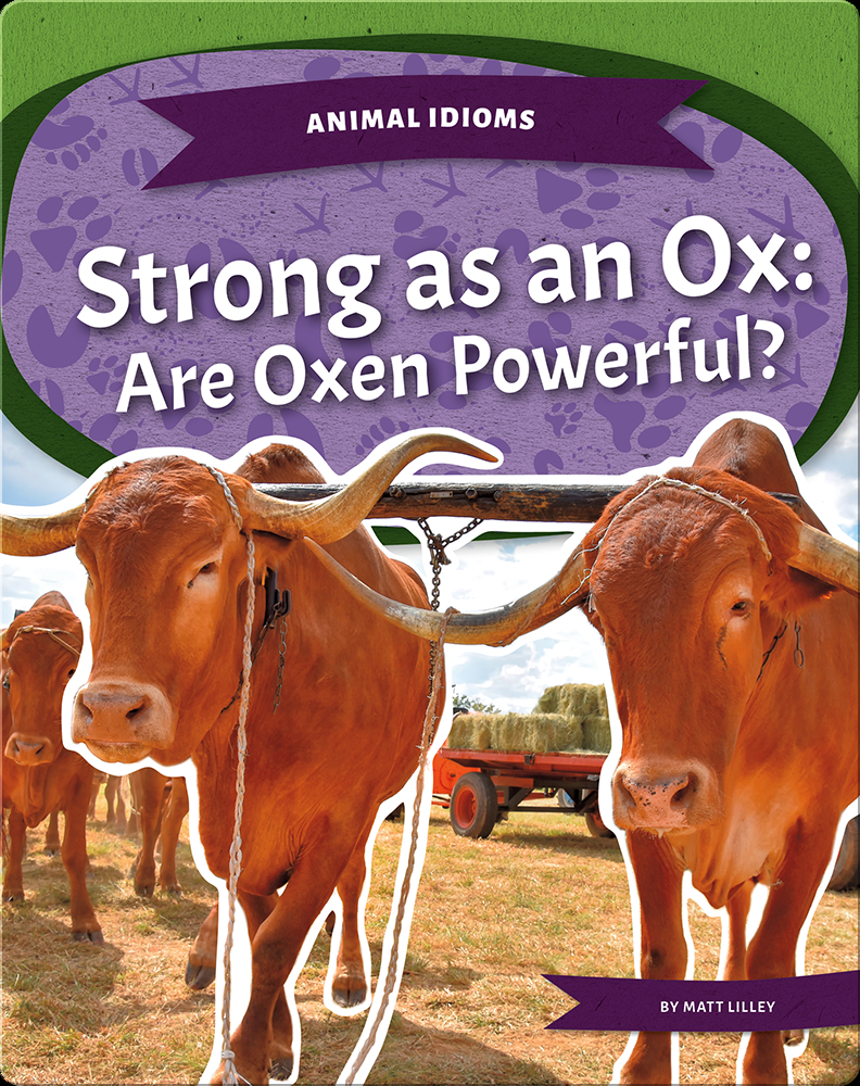 strong-as-an-ox-are-oxen-powerful-book-by-matt-lilley-epic