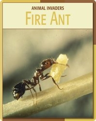 Animal Invaders: Fire Ant