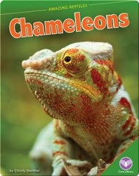 Amazing Reptiles: Chameleons