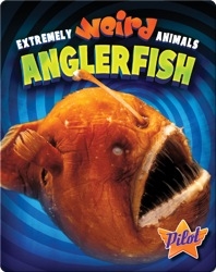 Extremely Weird Animals: Anglerfish