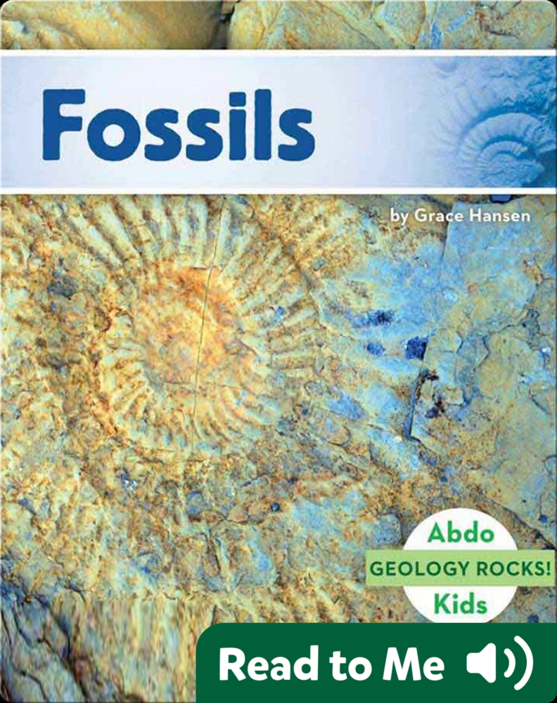 Fossils Children's Book by Grace Hansen Discover Children's Books