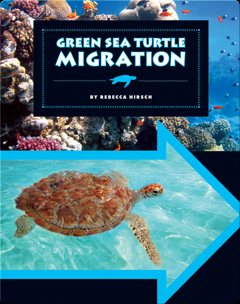 Green Sea Turtle Migration Book by Rebecca Hirsch Epic