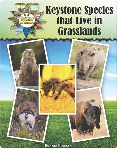 Keystone Species that Live in Grasslands