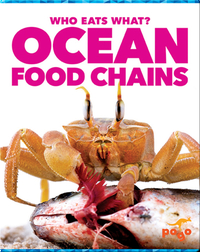 Who Eats What? Ocean Food Chains