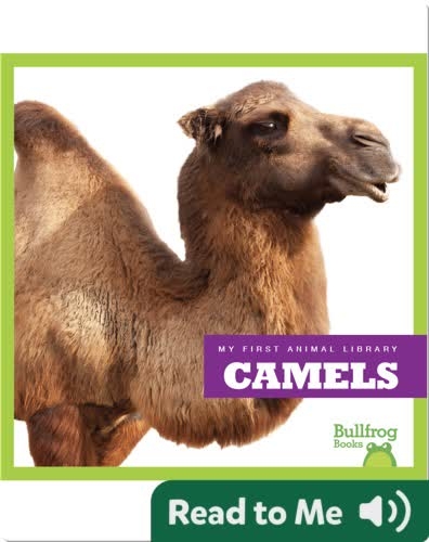 My First Animal Library: Camels