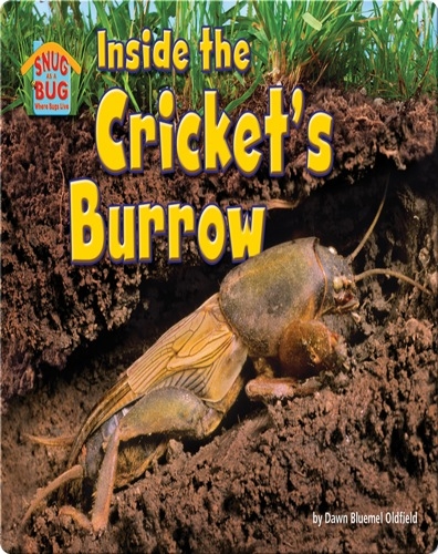 Inside the Cricket’s Burrow