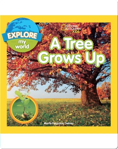 Explore My World A Tree Grows Up