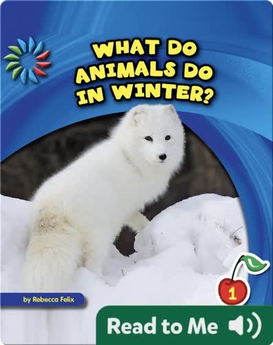 What Do Animals Do in Winter?