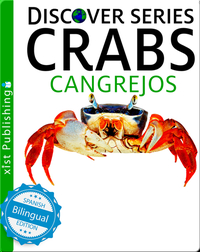 Crabs / Cangrejos