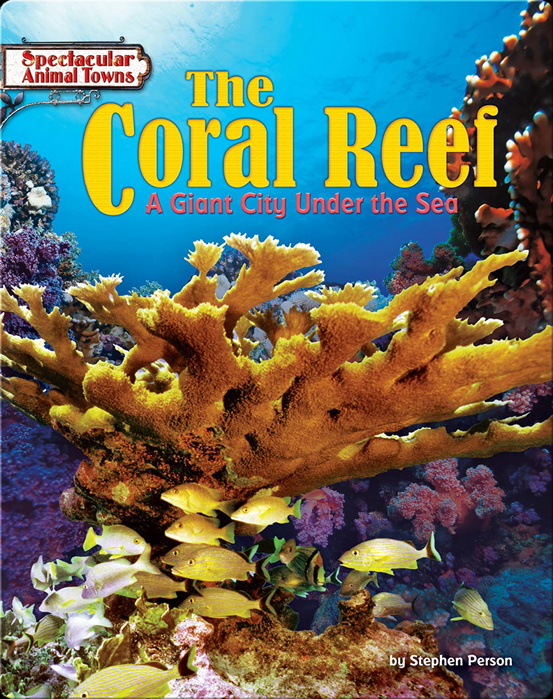 The Coral Reef: A Giant City Under the Sea Book by Stephen Person | Epic