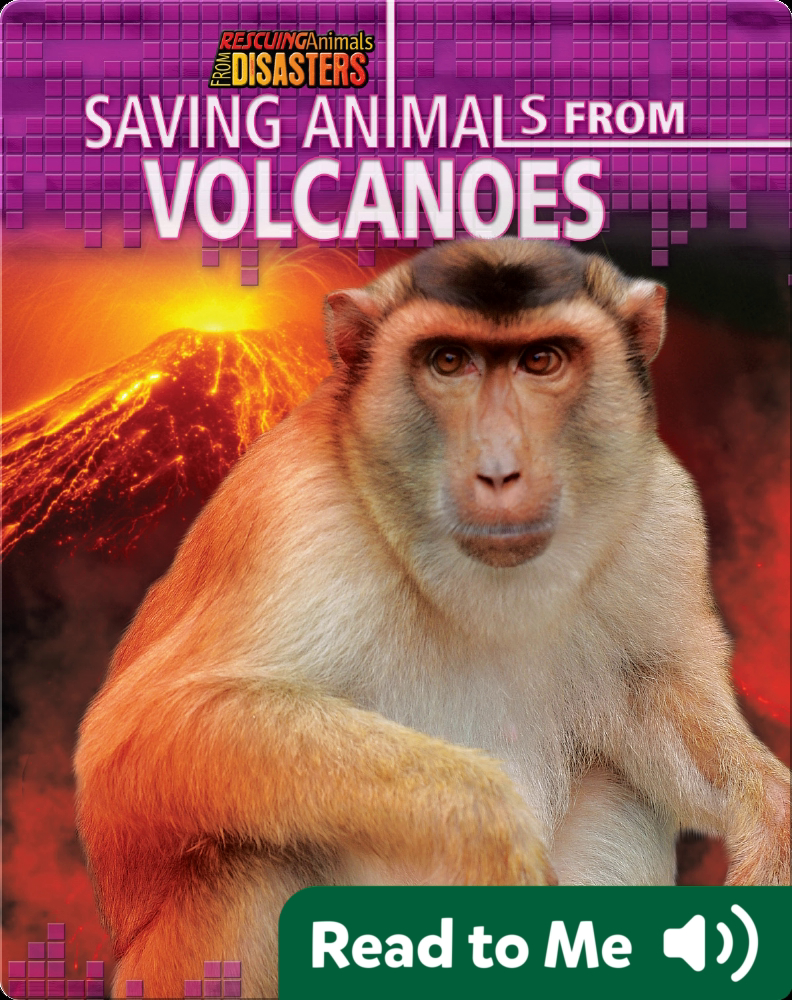 Saving Animals from Volcanoes Book by Miriam Aronin | Epic