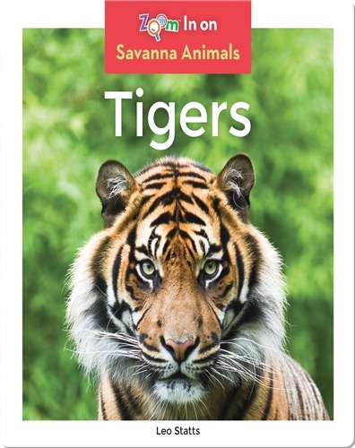 Tigers Children's Book Collection | Discover Epic Children's Books ...