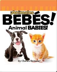 ¡Animales Bebés! (Animal Babies!)