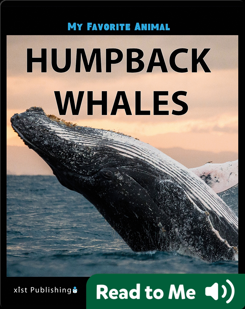 My Favorite Animal: Humpback Whales Book by Victoria Marcos | Epic