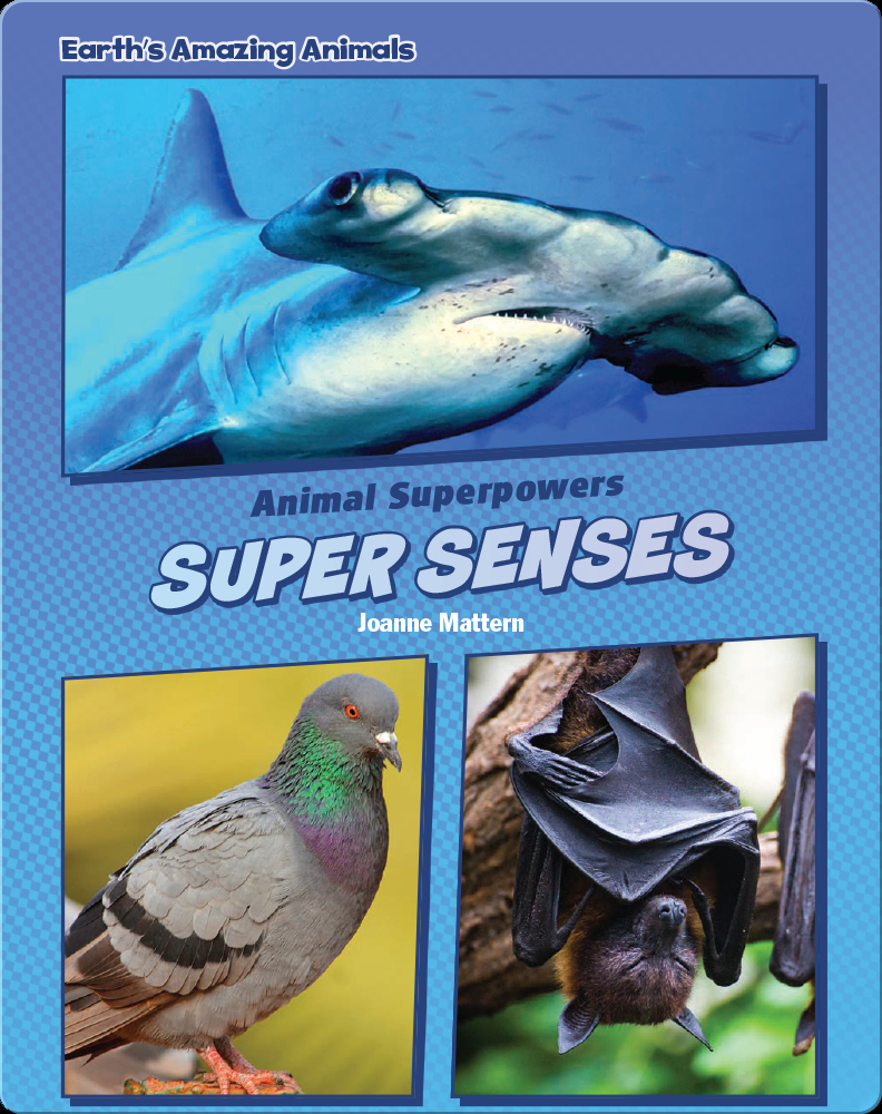 Super Senses Book by Joanne Mattern | Epic