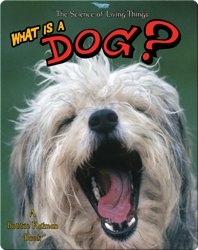 What is a Dog?