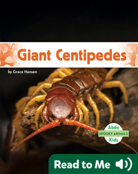 Spooky Animals: Giant Centipedes