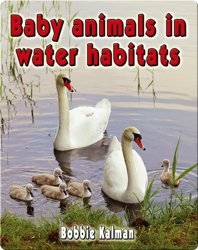 Baby Animals in Water Habitats