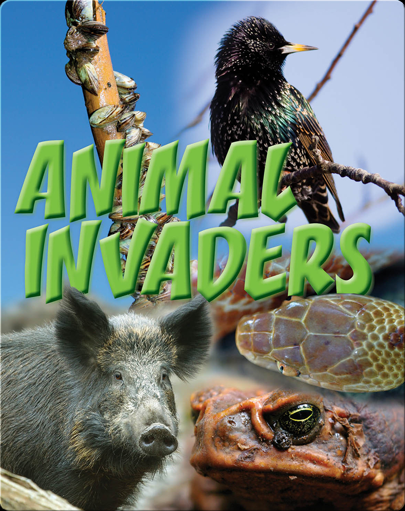 Animal Invaders Book by Amanda Doering Tourville | Epic
