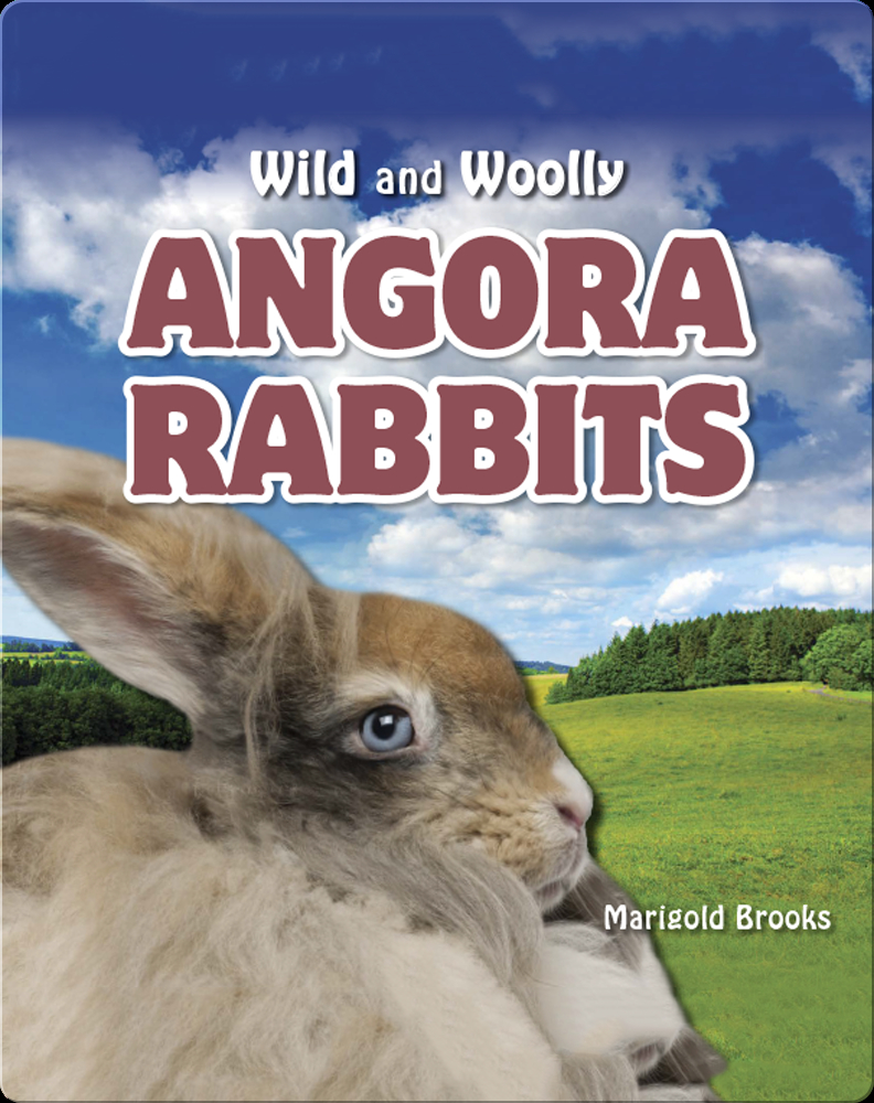 Angora Rabbits Book by Marigold Brooks | Epic