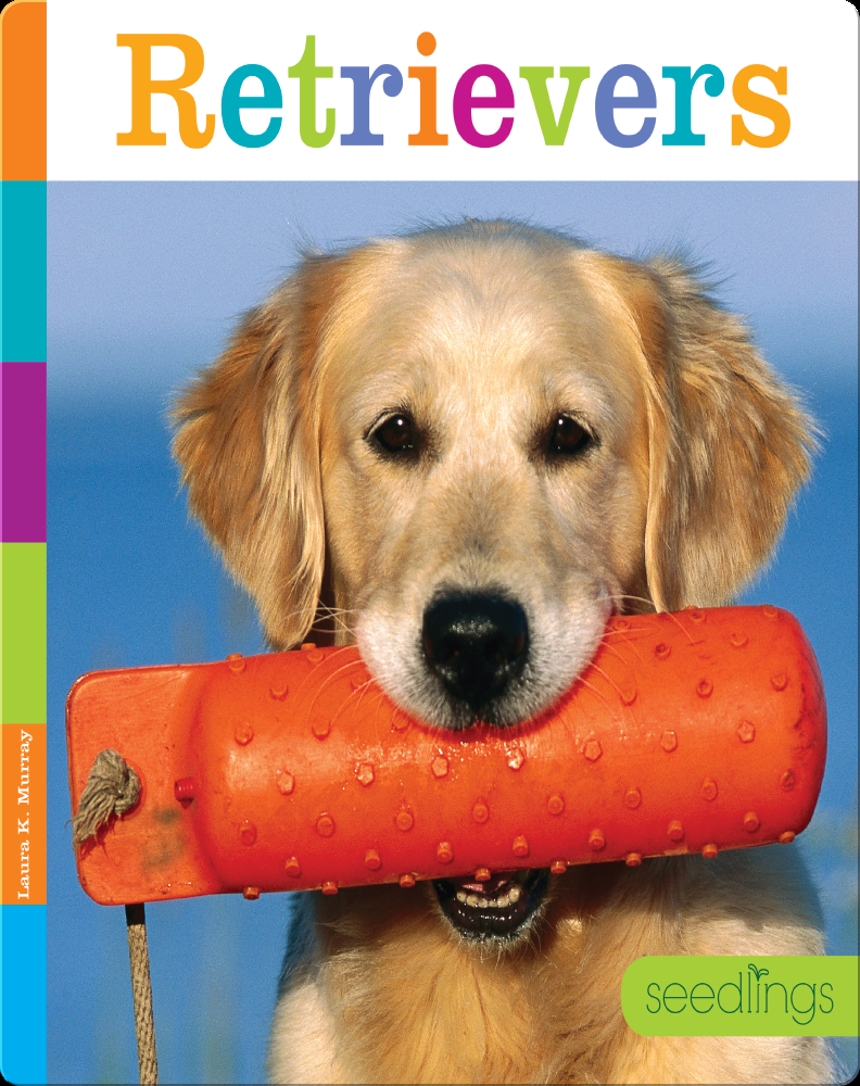 Retriver Rescue Books Rome Retrievers Book by Laura K. Murray | Epic